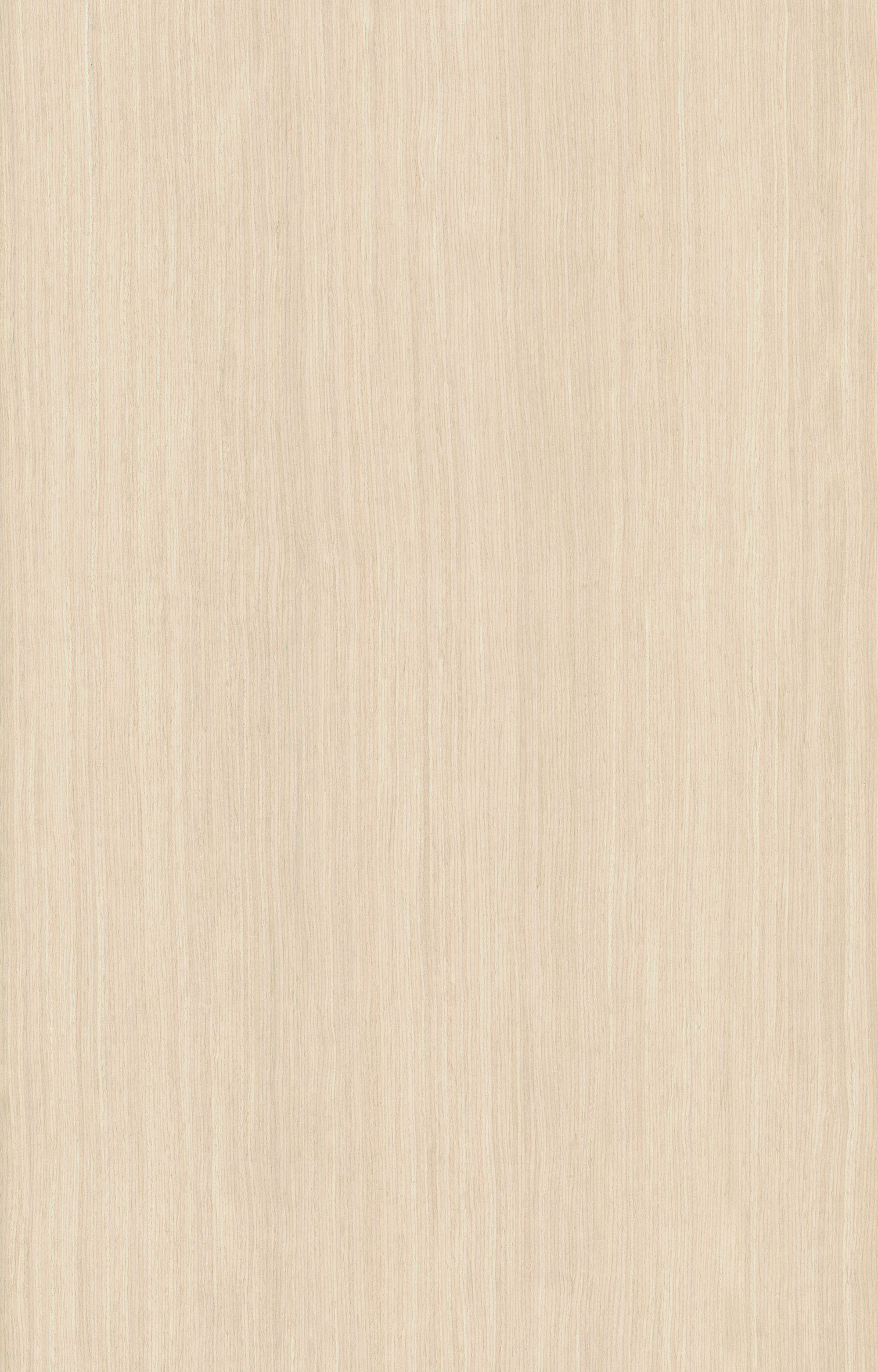 白橡5083.jpg