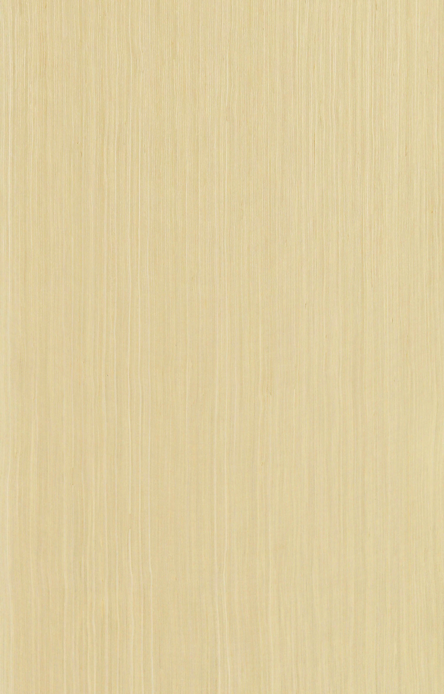枫木5175.jpg
