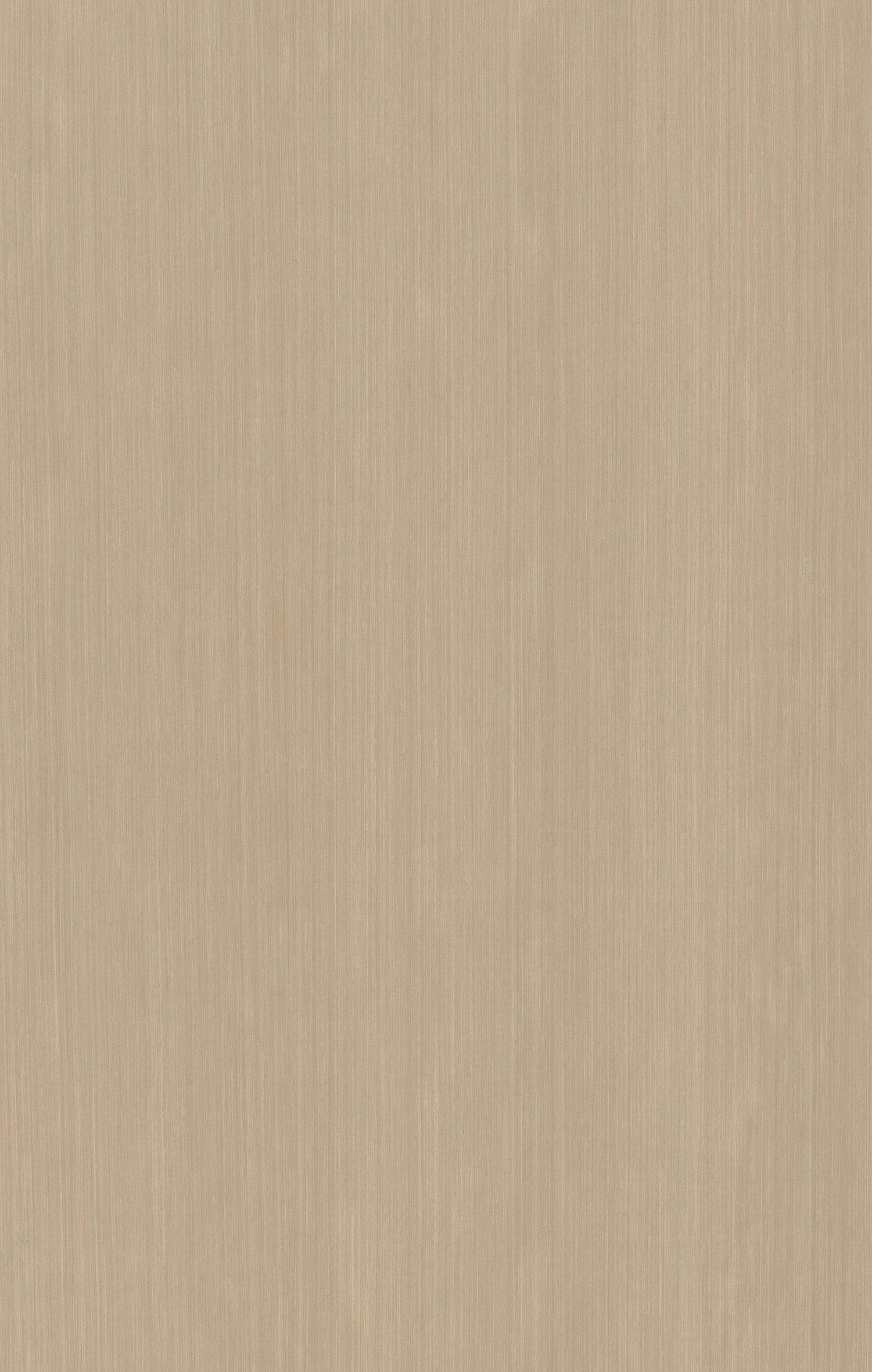 白杨木直纹6331.jpg