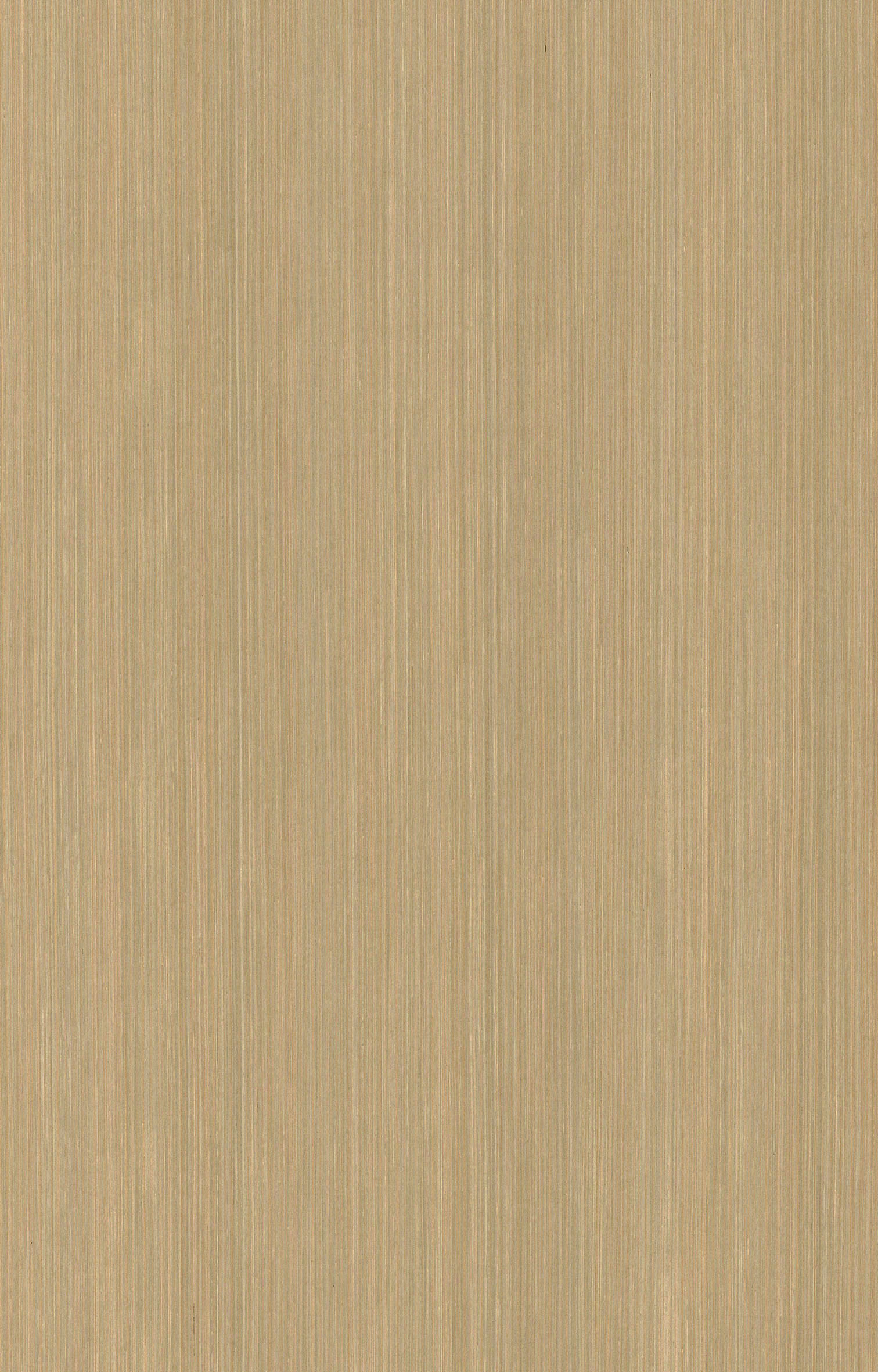 白杨木直纹6332.jpg