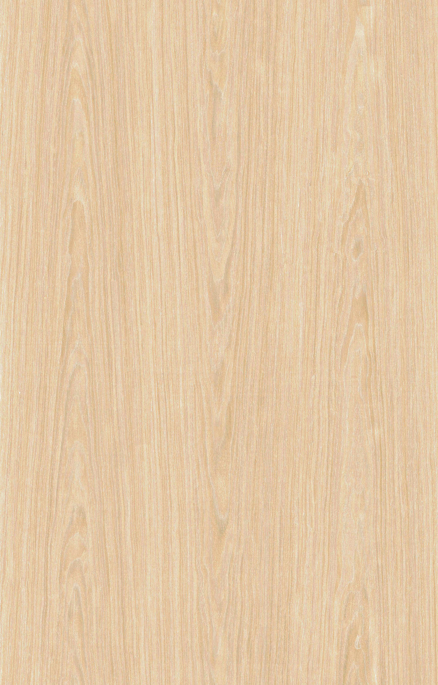 白橡1395W.jpg