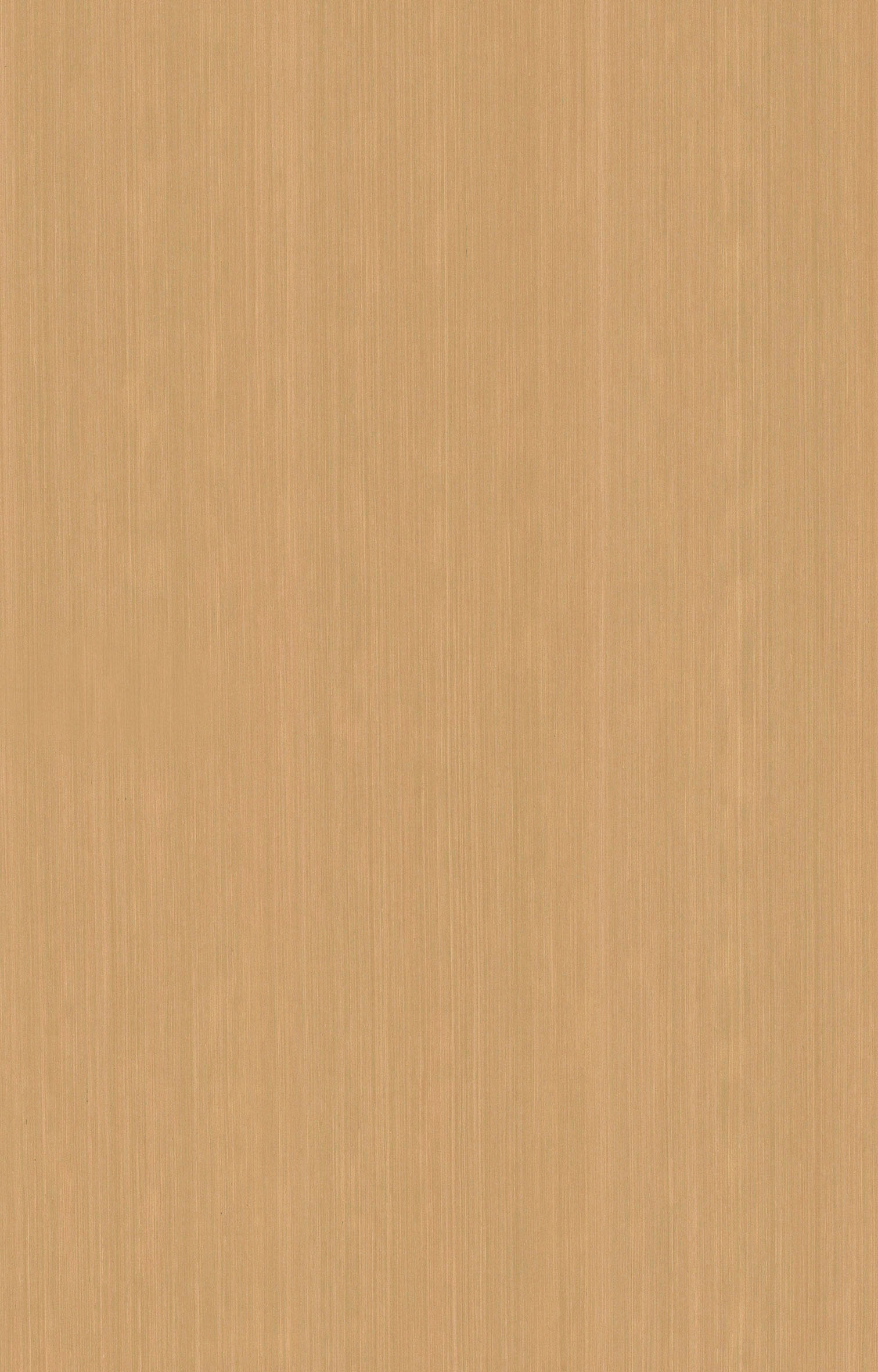 黄檀Q624.jpg