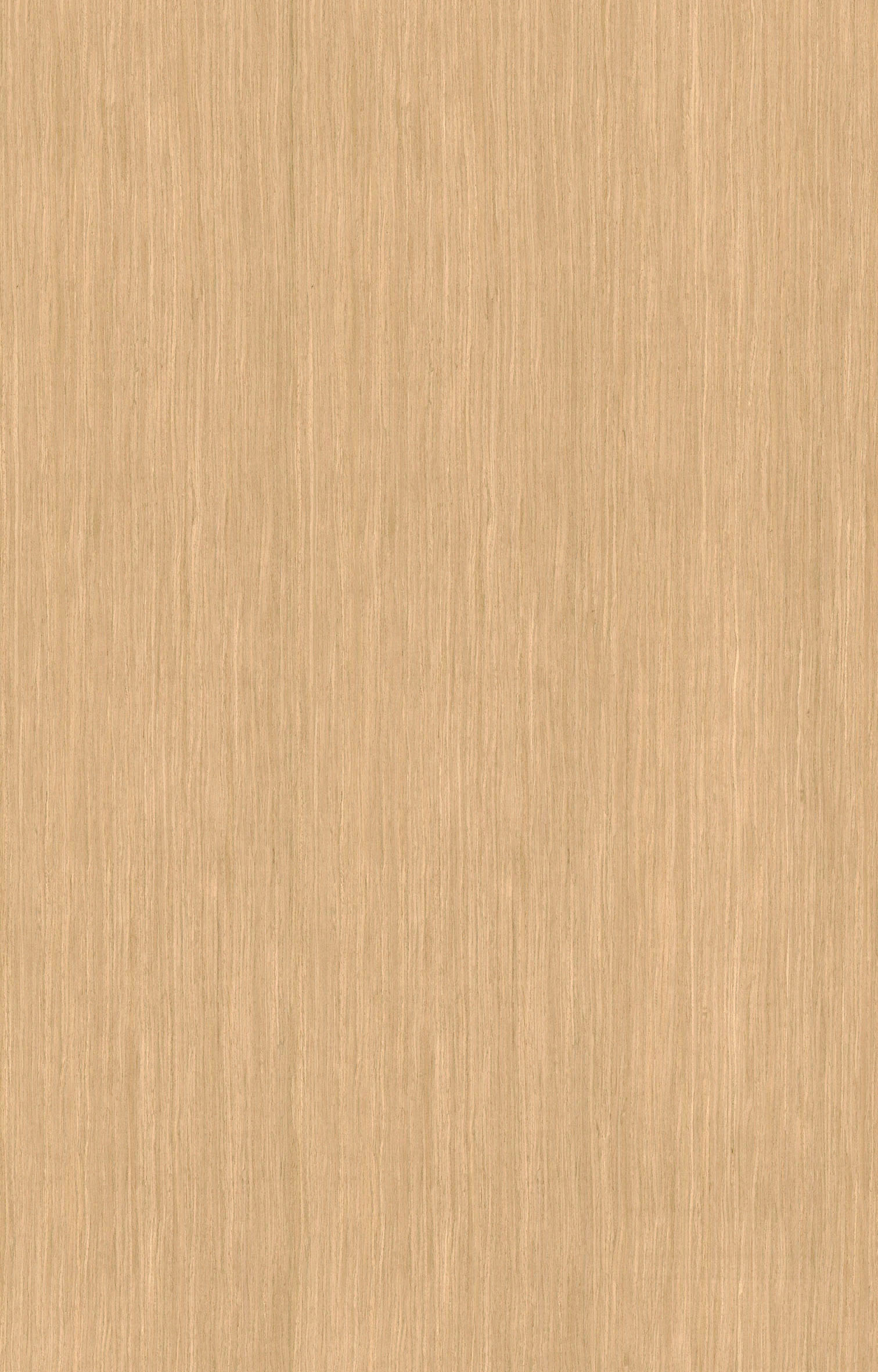 橡木180DS.jpg